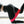 Load image into Gallery viewer, Resistance Bands Loop Set Of 5 Exercise Workout CrossFit Fitness Yoga Booty Band